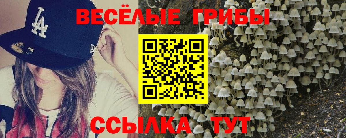 Псилоцибиновые грибы MAGIC MUSHROOMS  даркнет сайт  Ковров  Галлюциногенные грибы ЛСД  Вход с VPN 